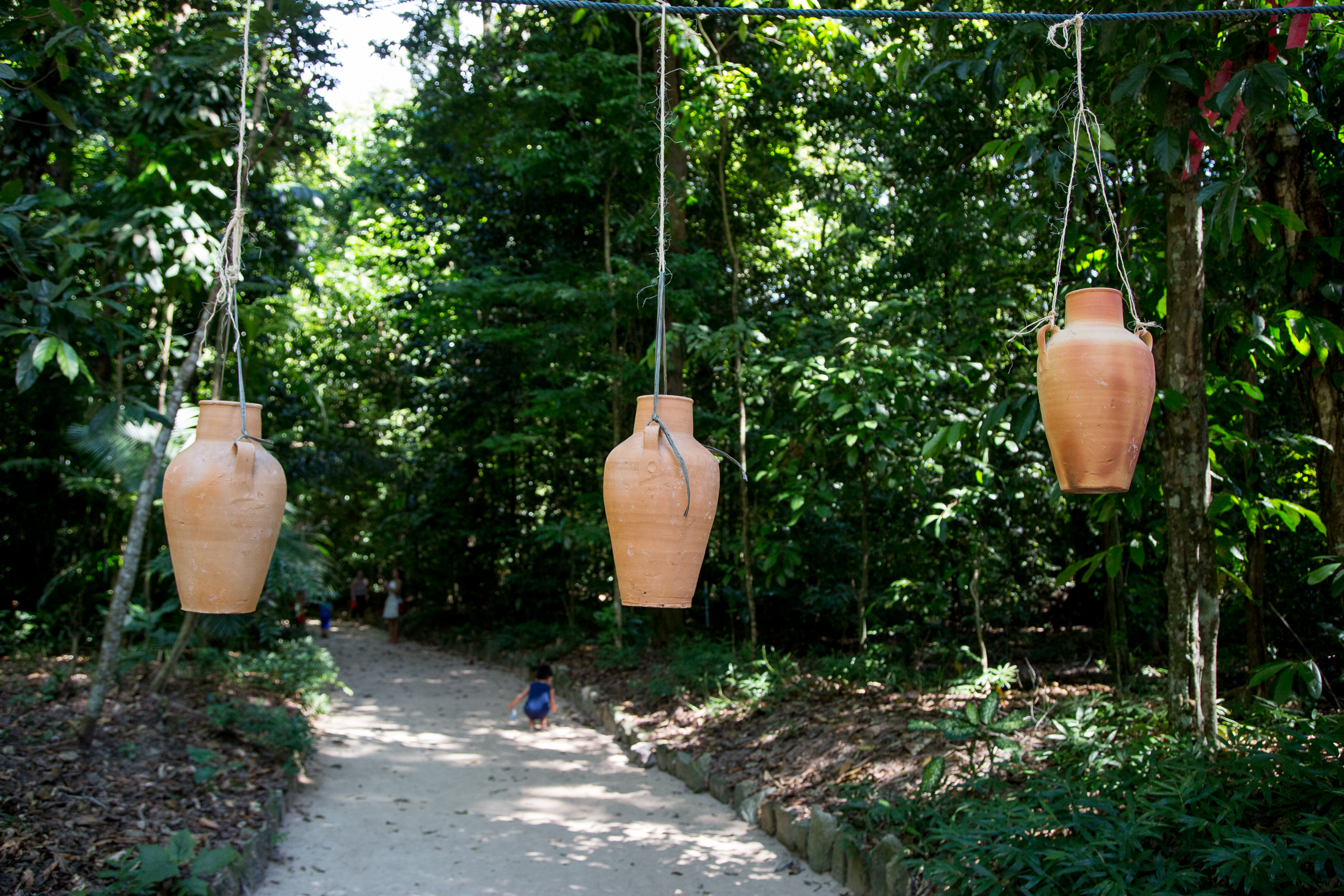 Atividades culturais marcam o domingo no Bosque e no Museu