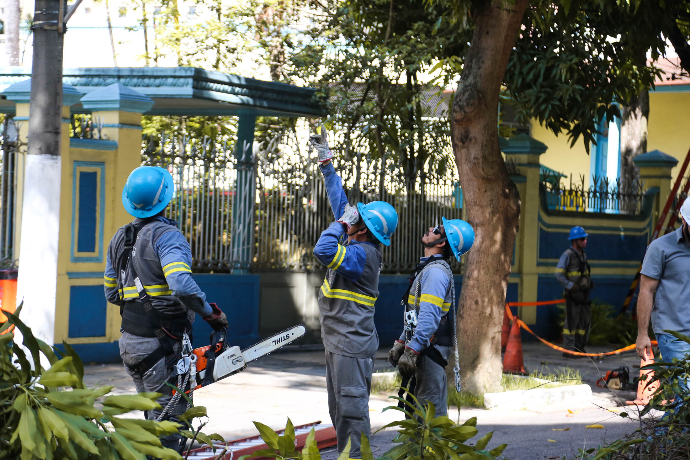 Reforço na poda de árvores em Belém começa pela Avenida Nazaré 