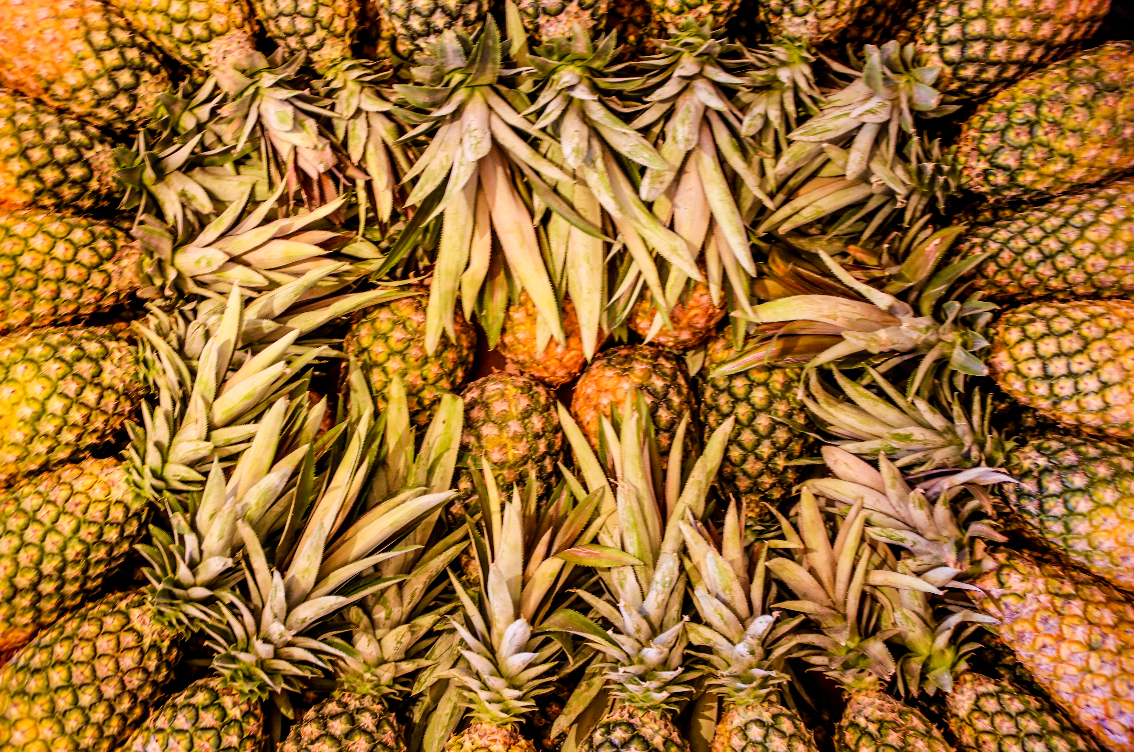 Nutricionista dá dicas para manter saúde e alimentação adequada durante o verão