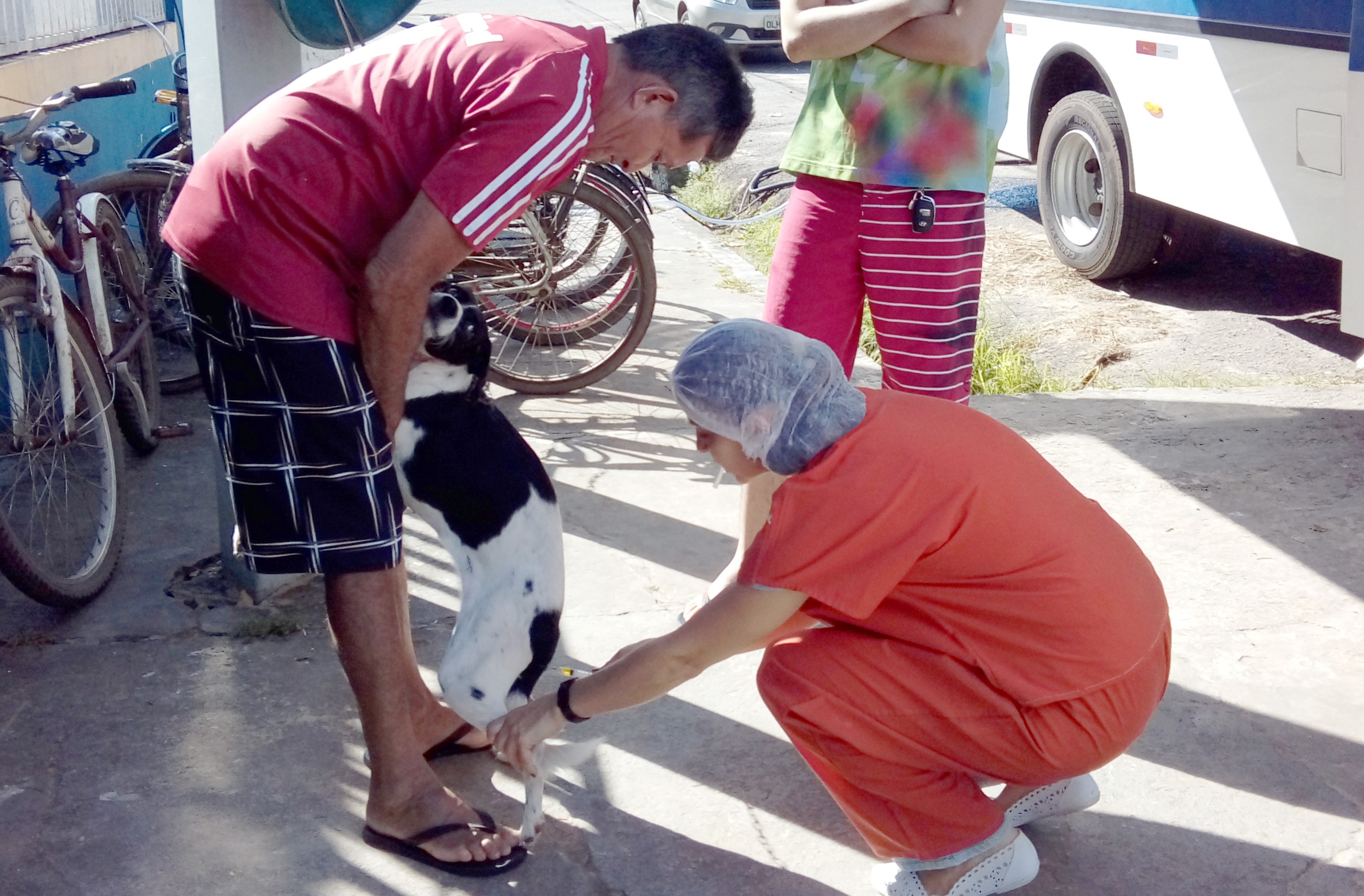 Centro de Controle de Zoonoses vacina e castra cães e gatos em Mosqueiro até dia 27