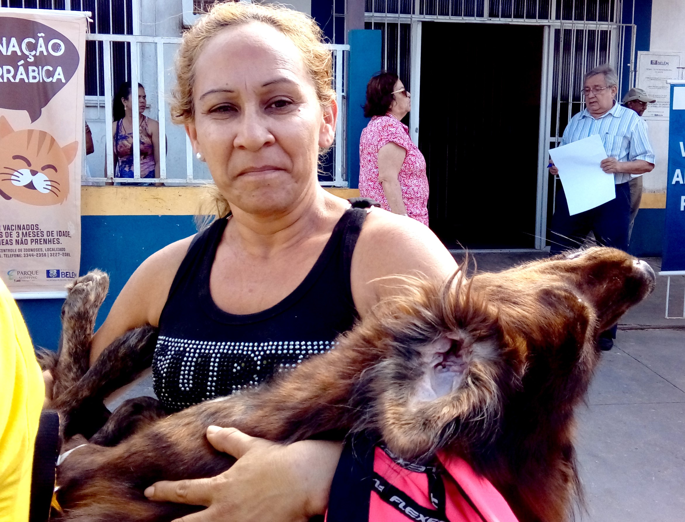 Centro de Controle de Zoonoses vacina e castra cães e gatos em Mosqueiro até dia 27