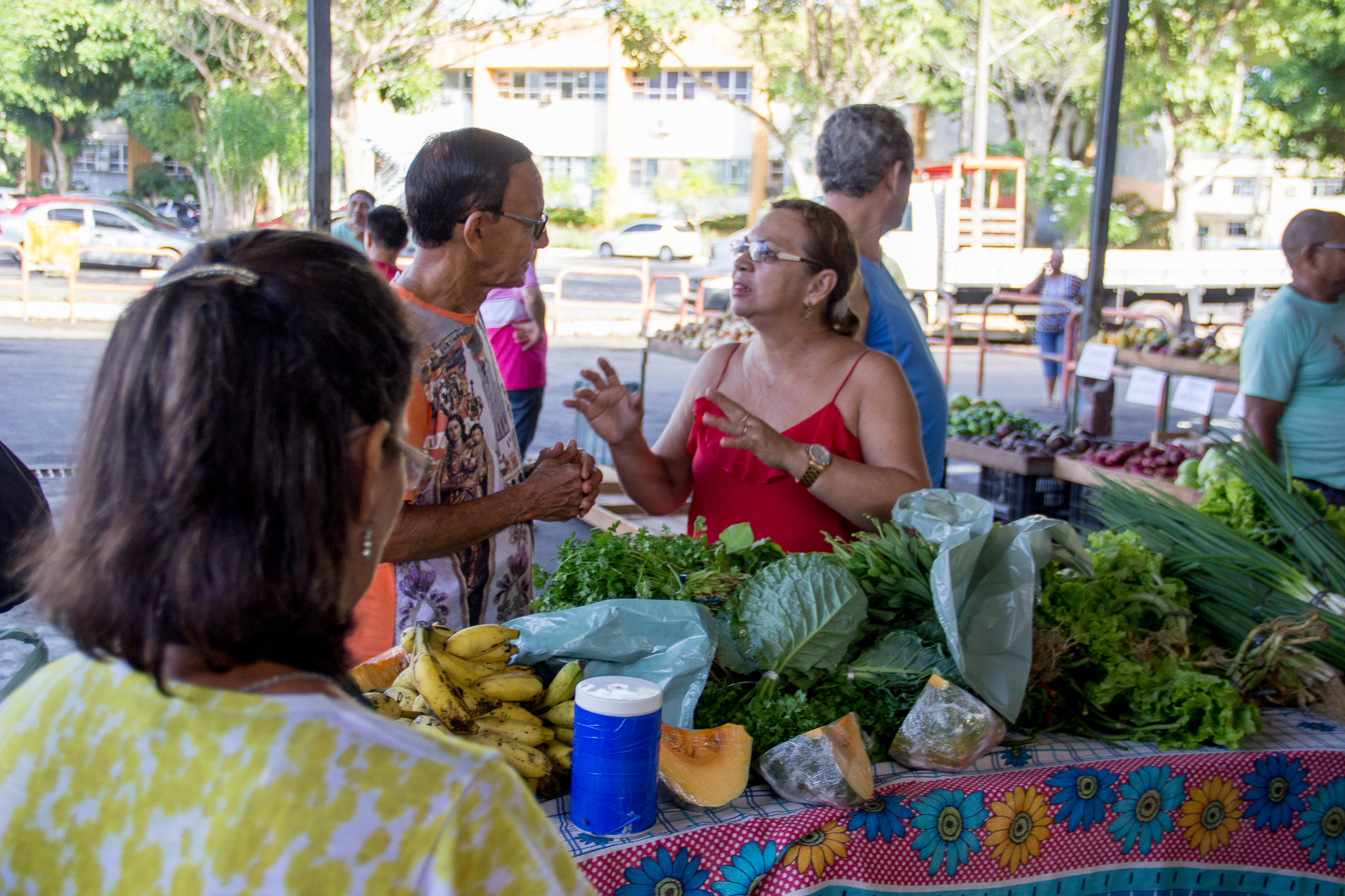 Copsan e Ceasa oferecem frutas e verduras com desconto para população