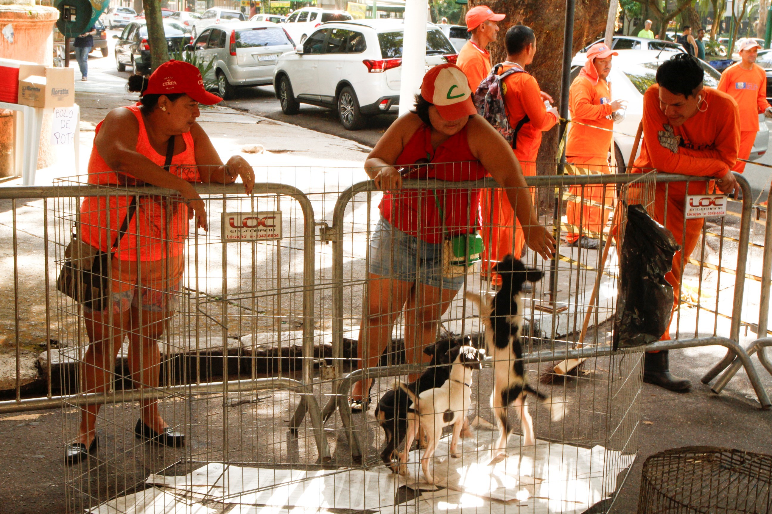 Feira de adoção da Prefeitura dá novo lar a cães e gatos