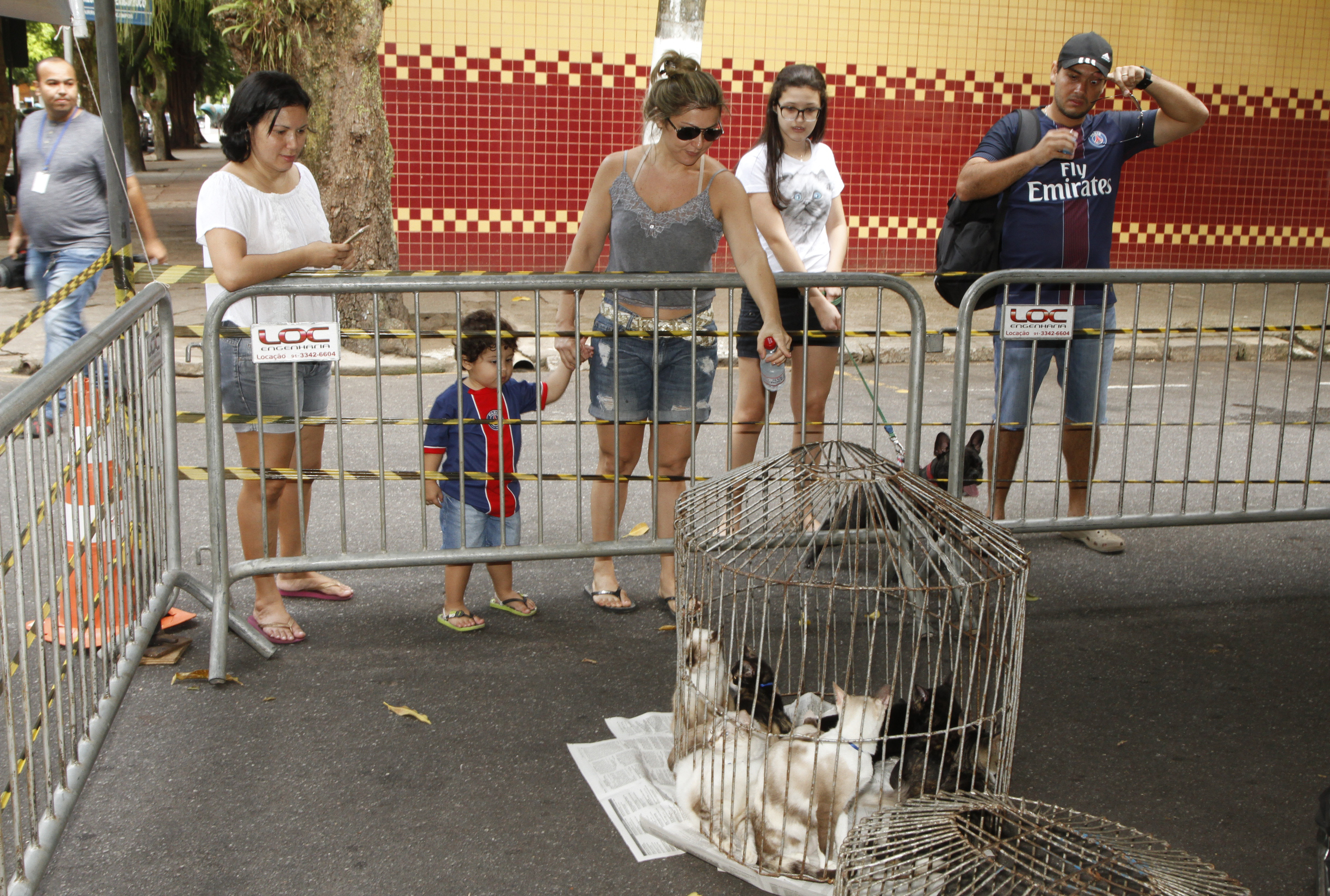 Feira de adoção da Prefeitura dá novo lar a cães e gatos
