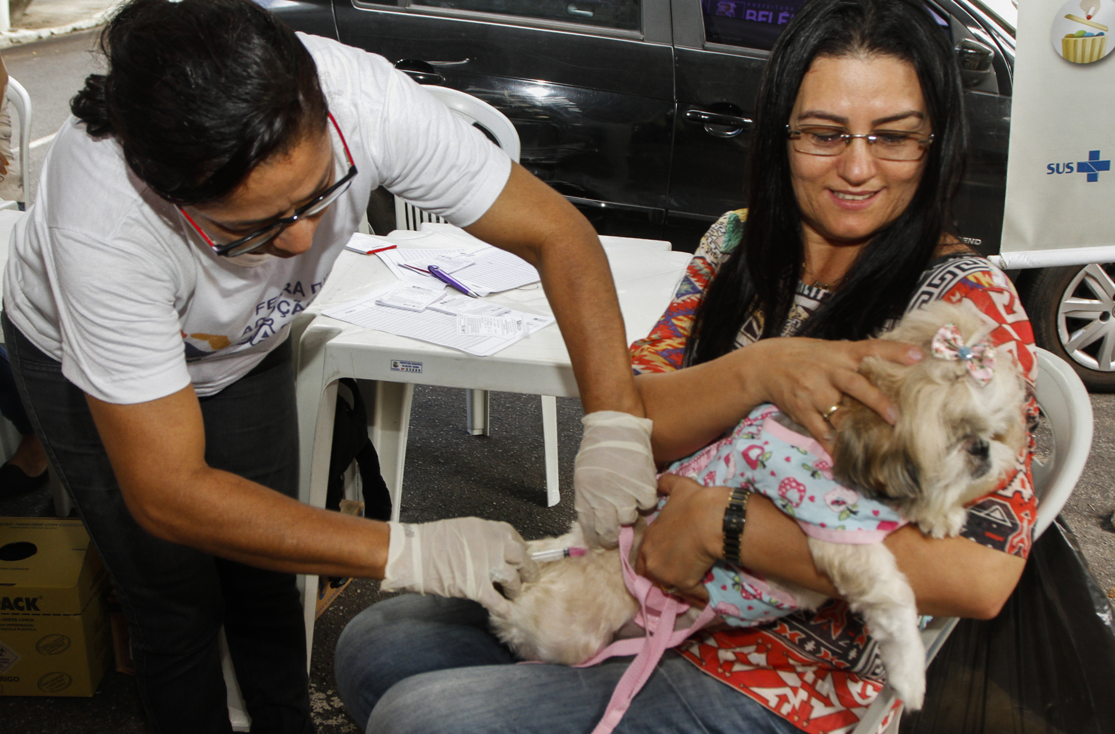 Feira de adoção da Prefeitura dá novo lar a cães e gatos