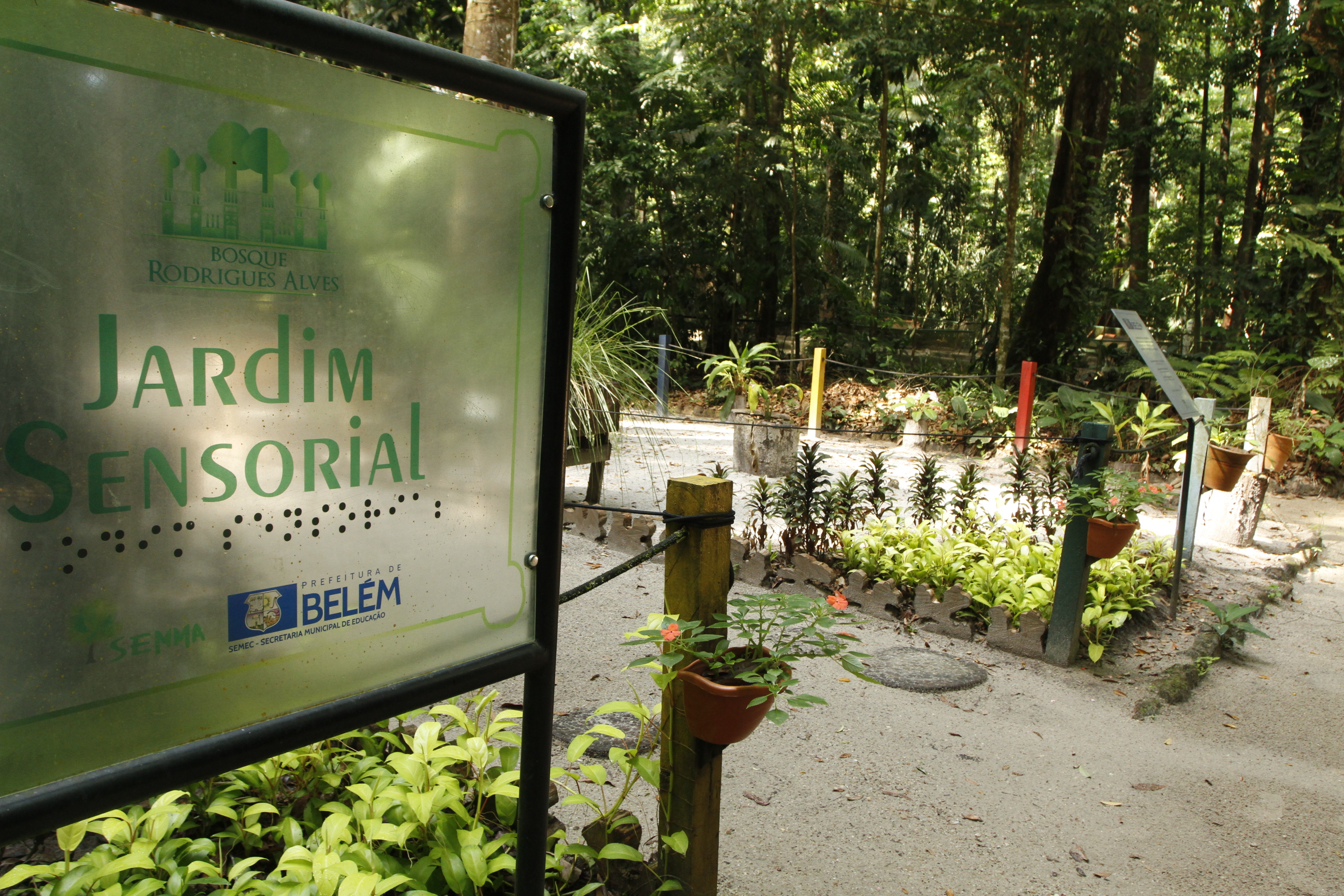 Bosque Rodrigues Alves celebra aniversário de 134 anos com programação especial