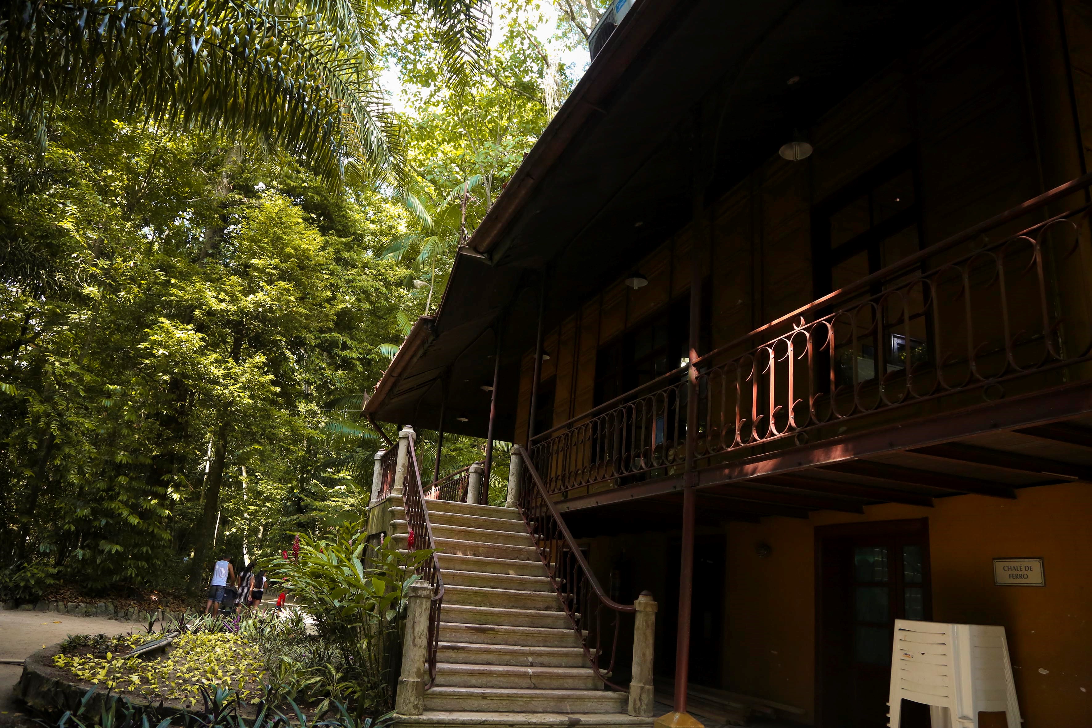 Programação de aniversário do Bosque termina com diversas atividades