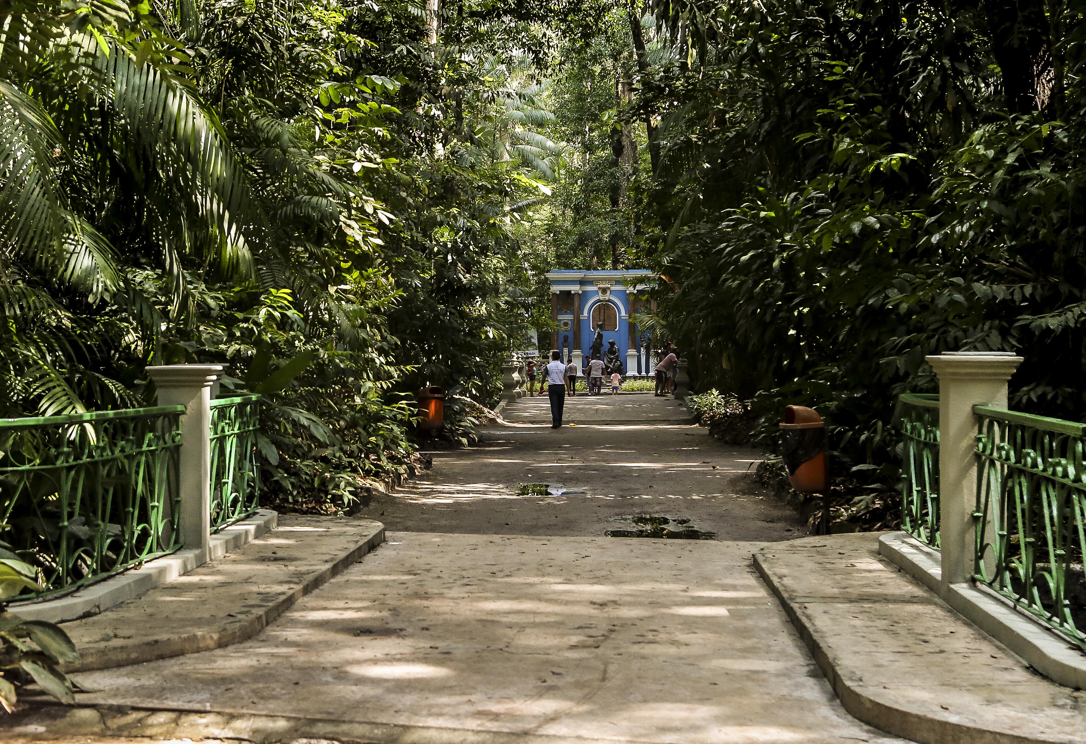 Programação de aniversário do Bosque termina com diversas atividades