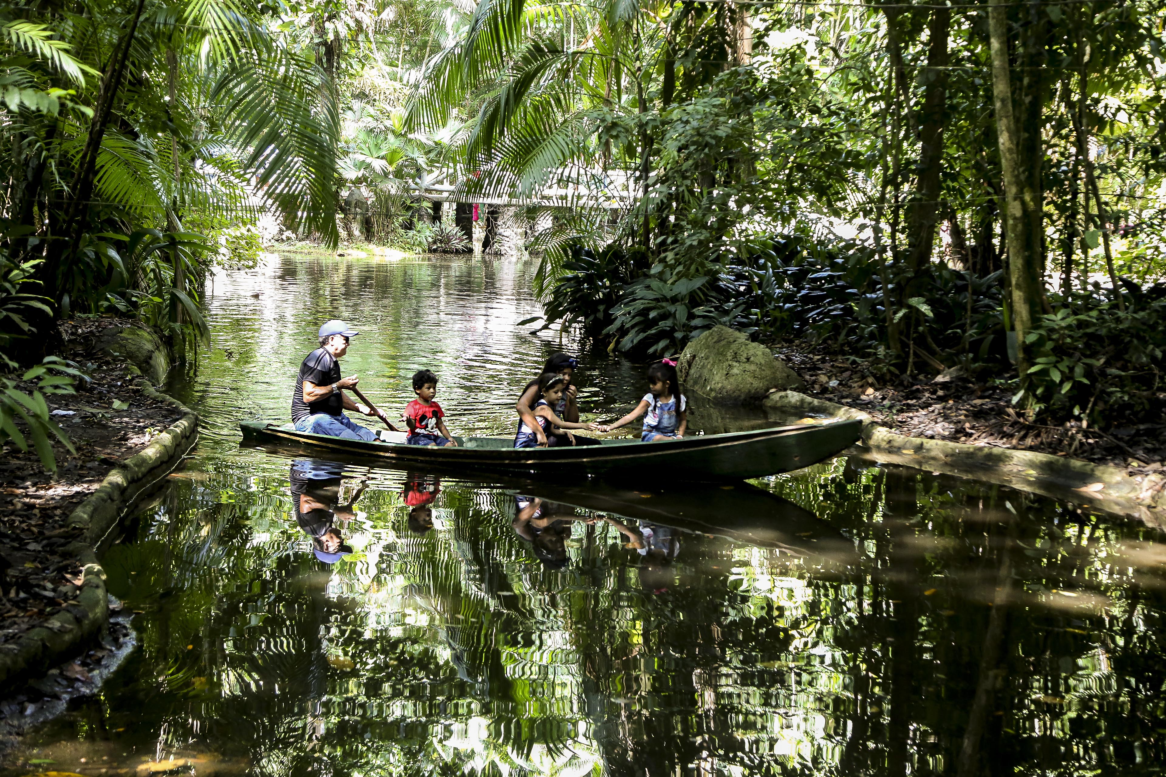 Programação de aniversário do Bosque termina com diversas atividades