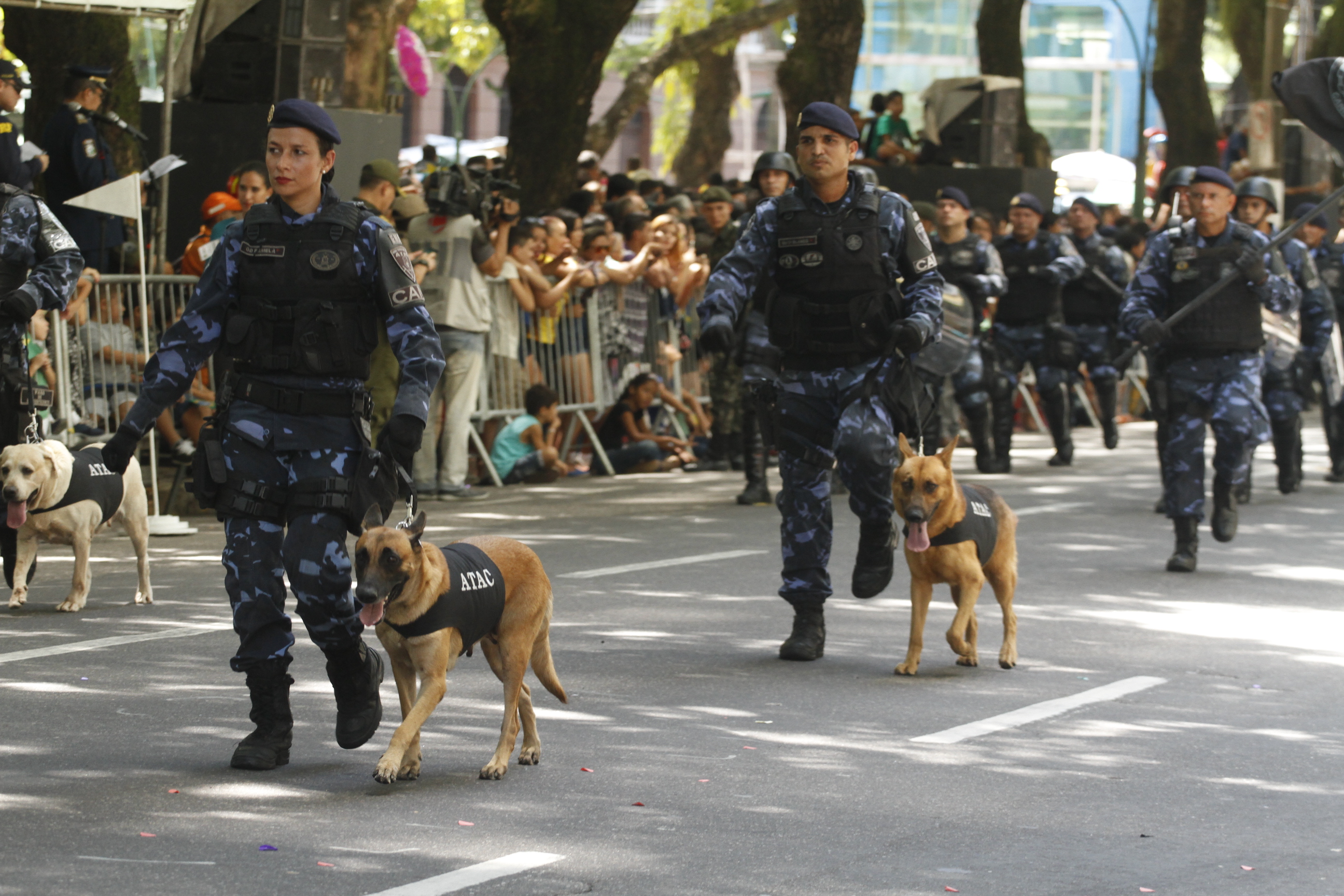 Desfile em homenagem à Pátria tem participação da Guarda Municipal de Belém
