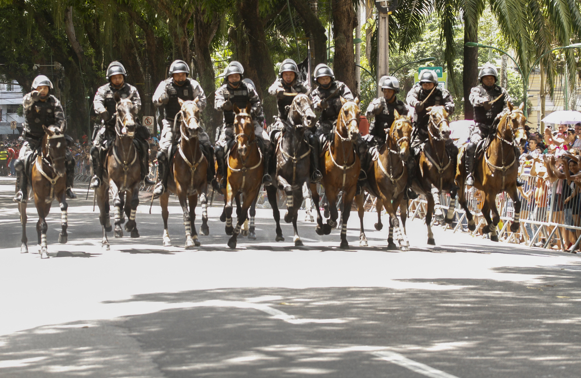 Desfile em homenagem à Pátria tem participação da Guarda Municipal de Belém