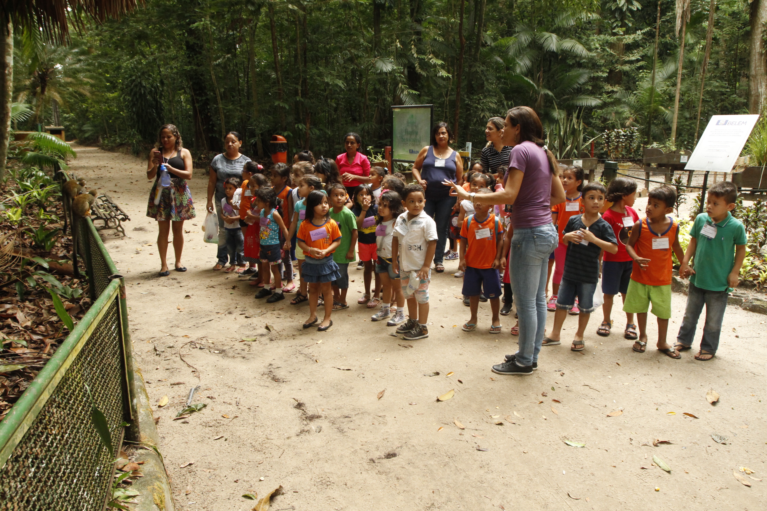 Dia da Árvore tem programação especial no Bosque e na Augusto Montenegro