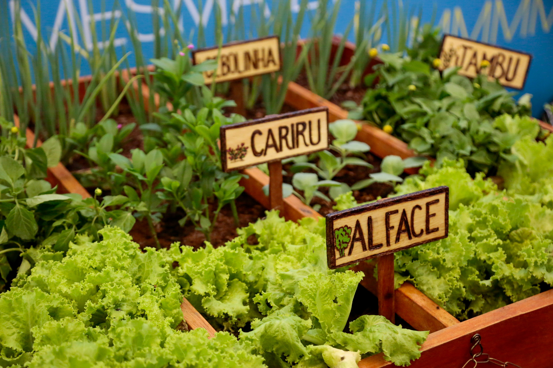 Belém sedia eventos que valorizam a cultura e a culinária local