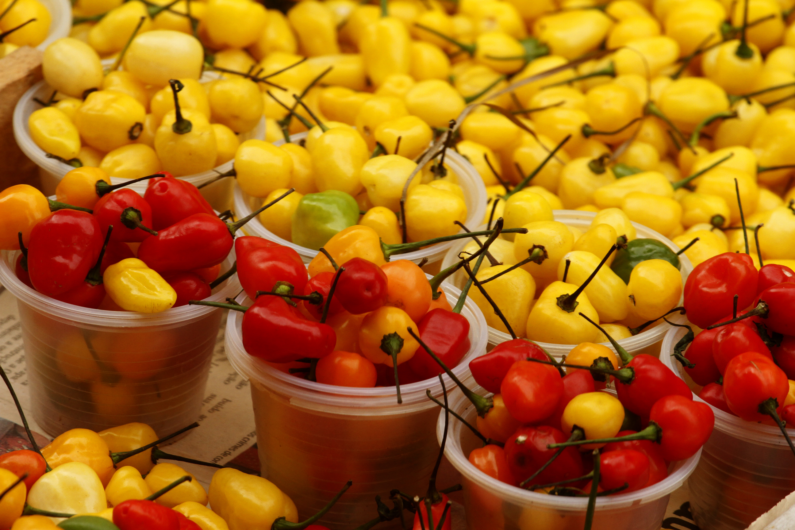 Vendas de ingredientes do almoço do Círio movimentam o Ver-o-Peso  