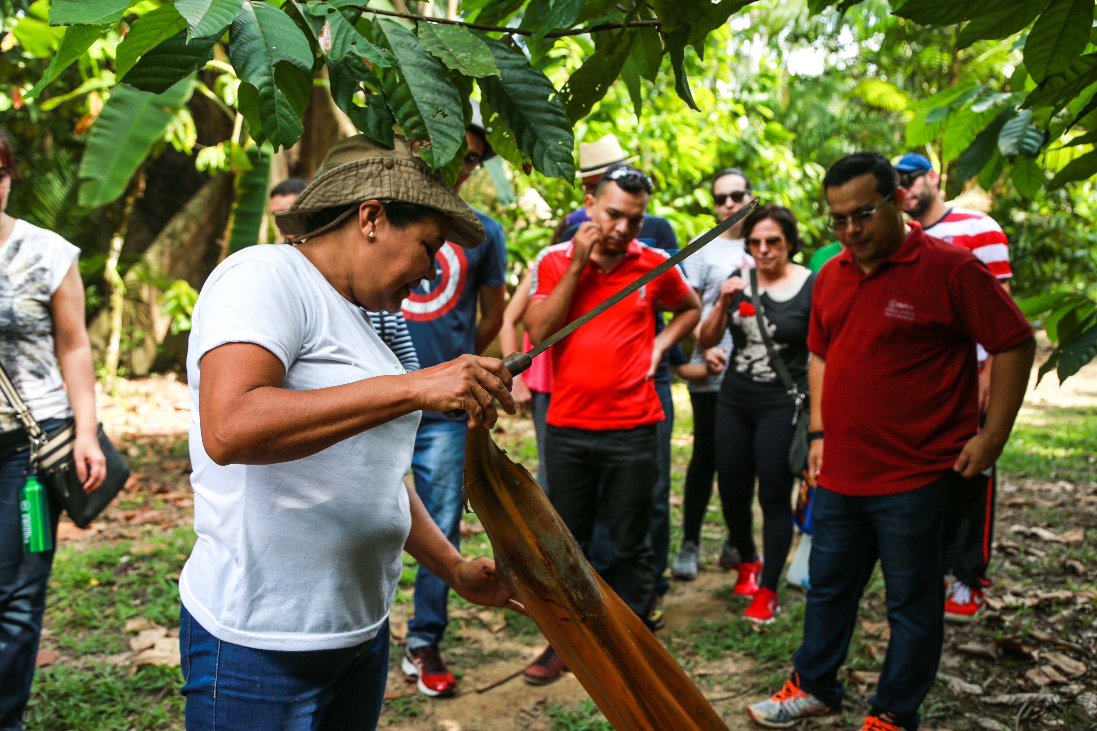 Produção artesanal do Combu na rota do Encontro Mundial das Cidades Criativas
