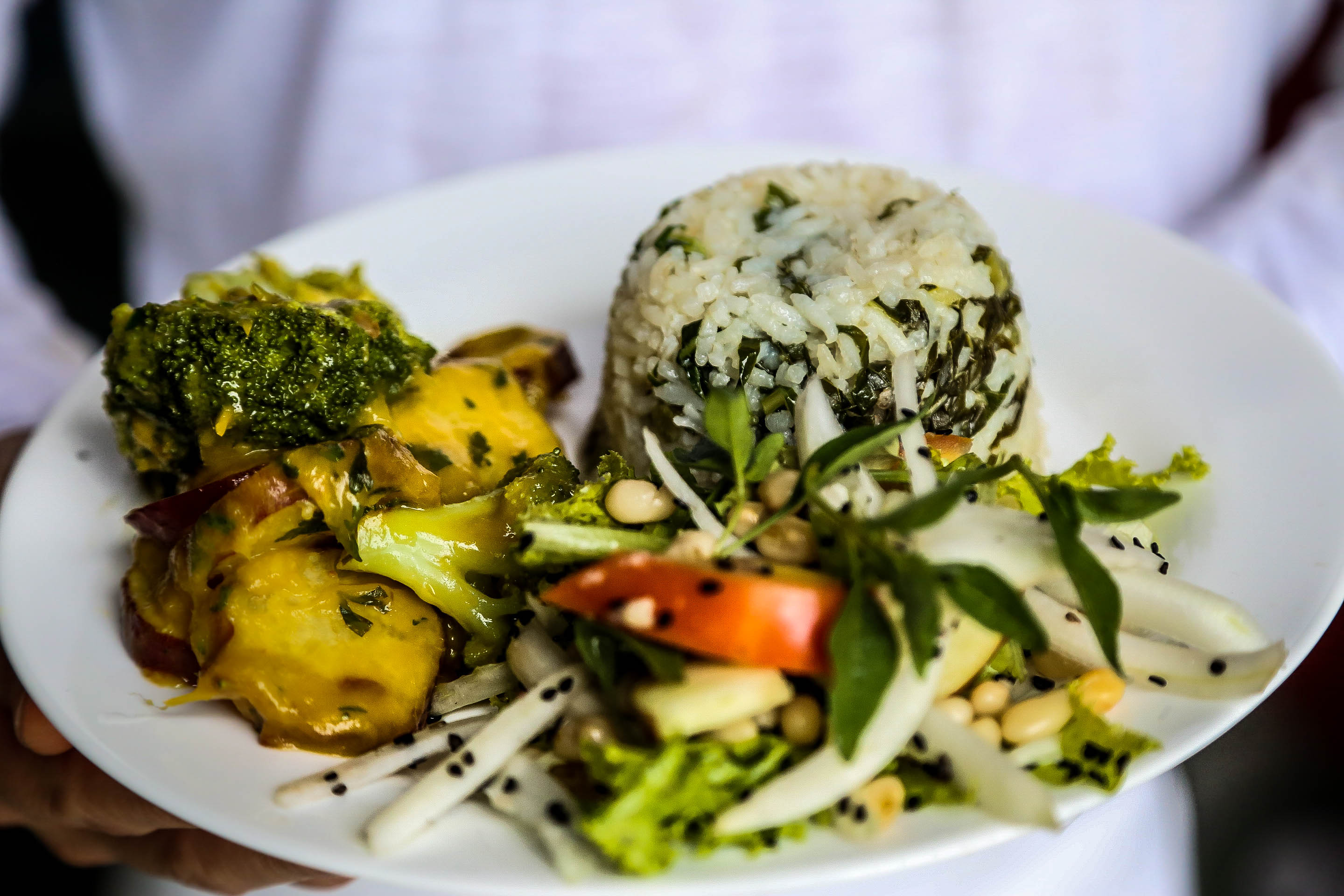 Festival Fartura - Comidas do Brasil chega a Belém com muitas atrações